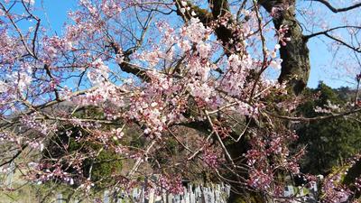 IMG_4844.JPG