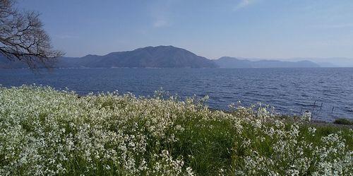 DSC_0717.jpg