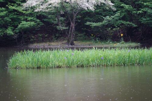 DSC00266.jpg