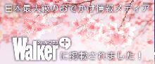 KADOKAWAウォーカープラス「海津大崎の桜」