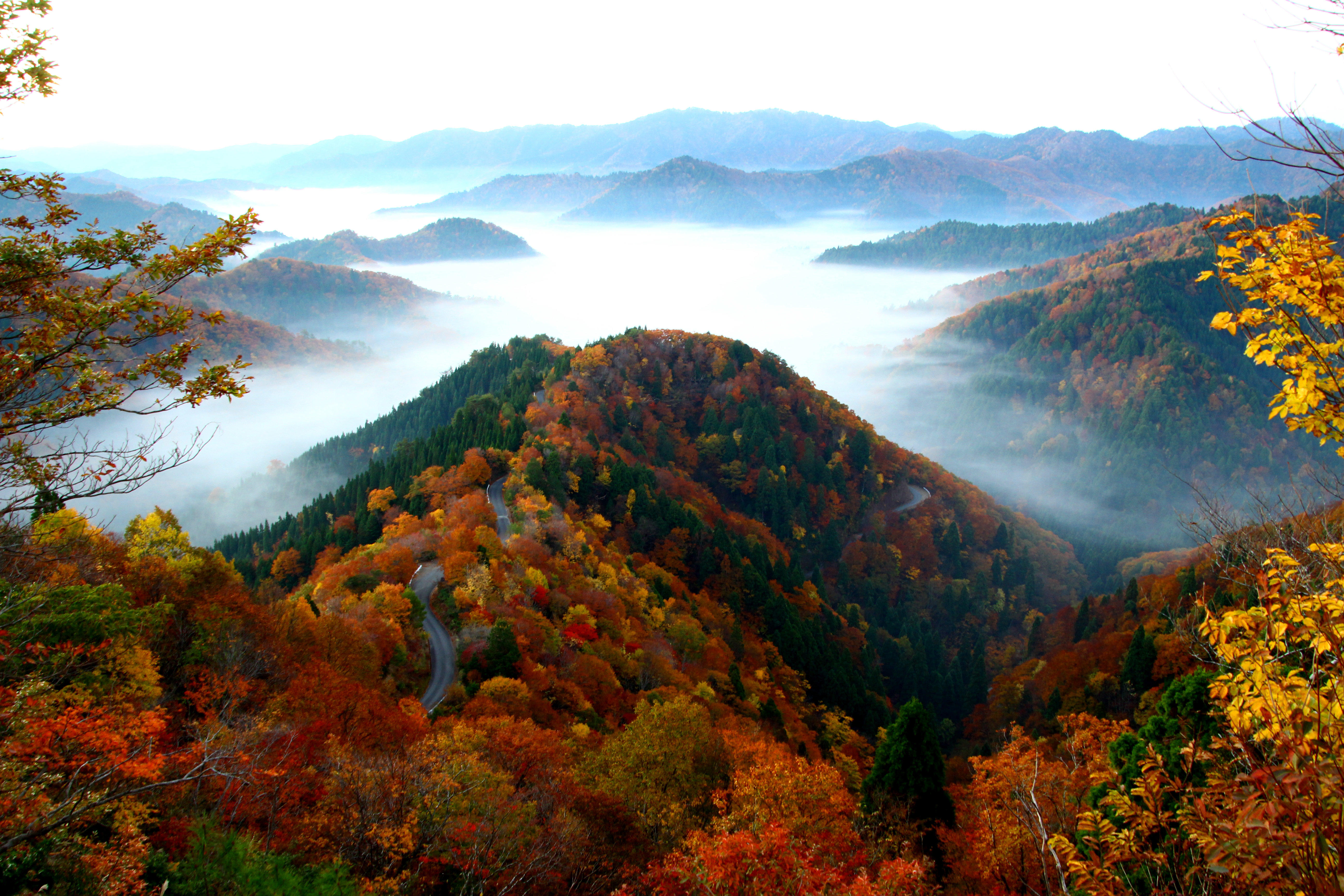 Sea of clouds and autumn leaves of Onyu Valley