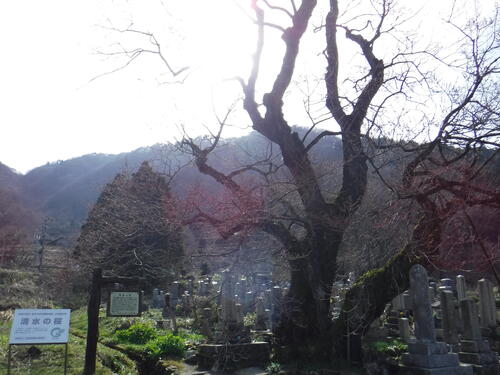 DSCF4841.JPGのサムネイル画像