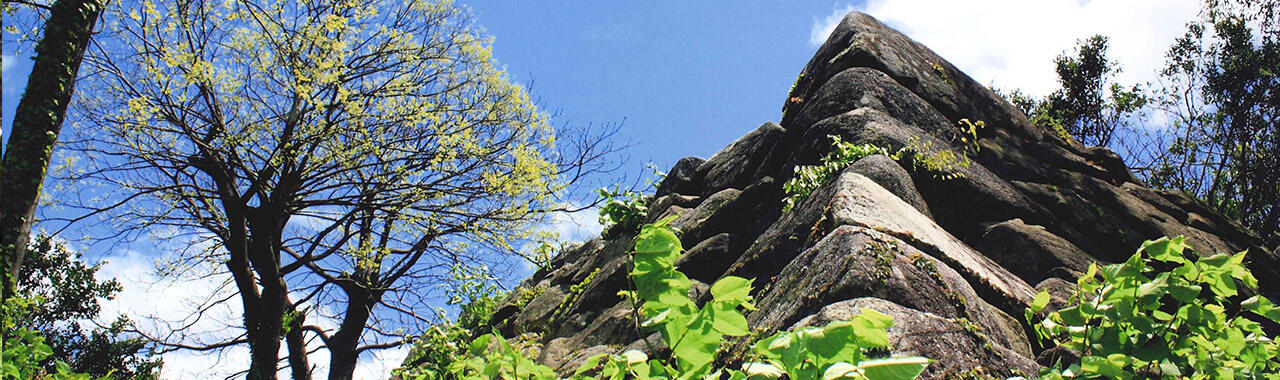 戦国ヒストリー