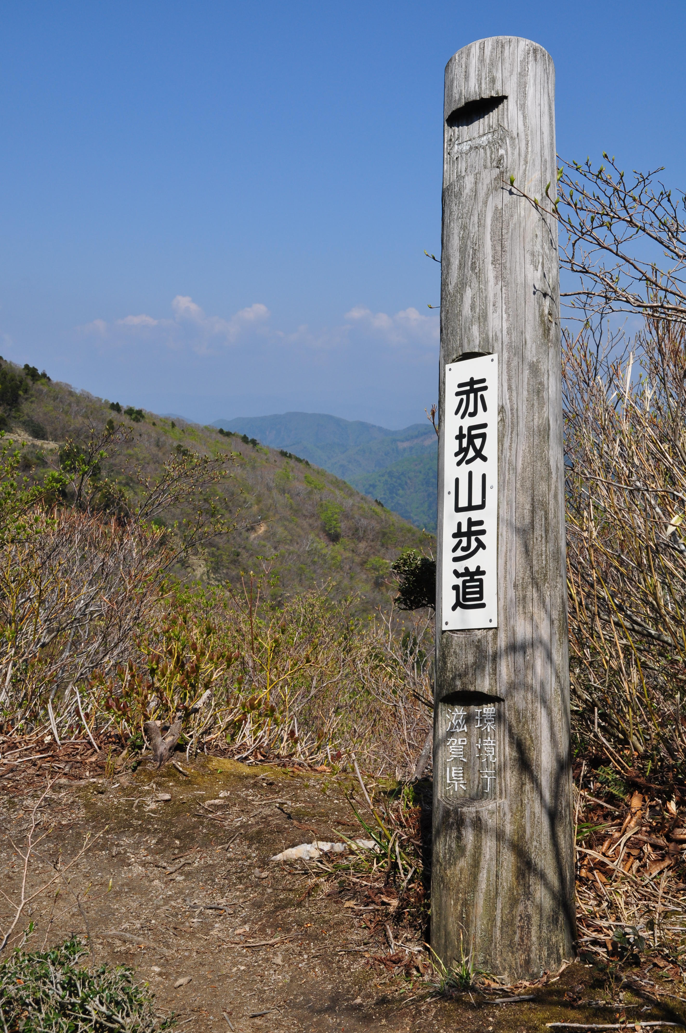 赤坂山（自然遊歩道）