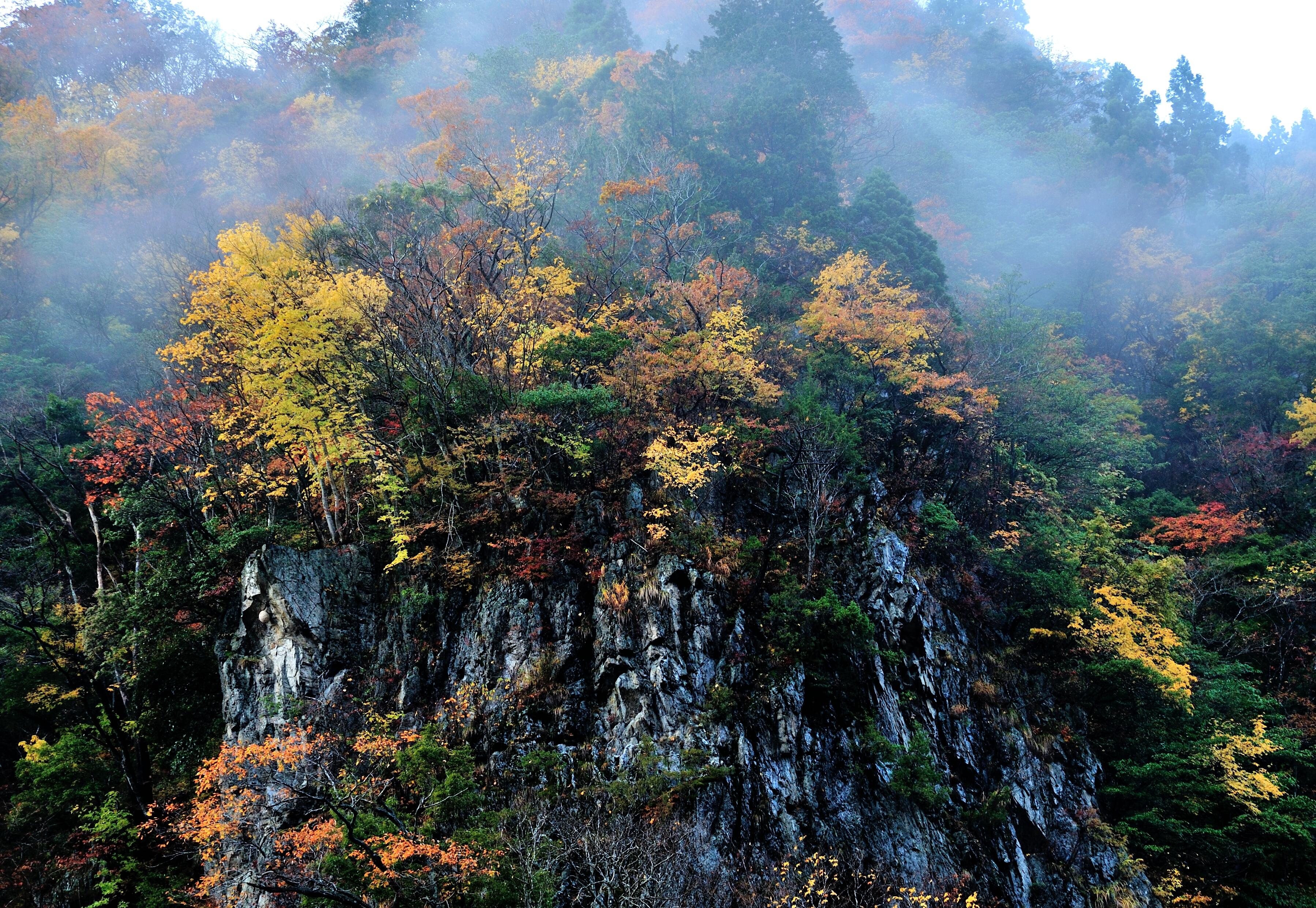 家族旅行村ビラデスト今津周辺の紅葉