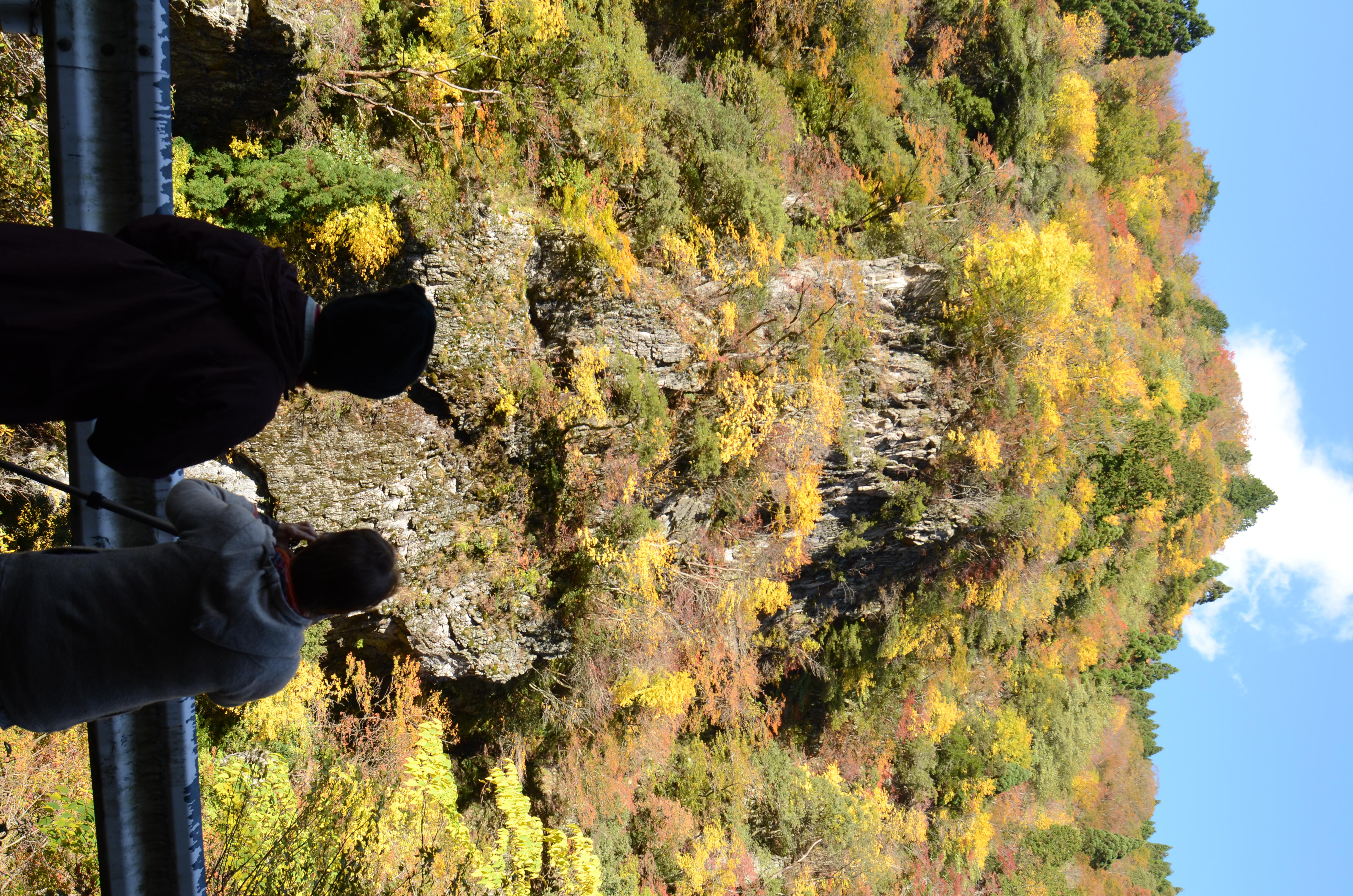 家族旅行村ビラデスト今津周辺の紅葉