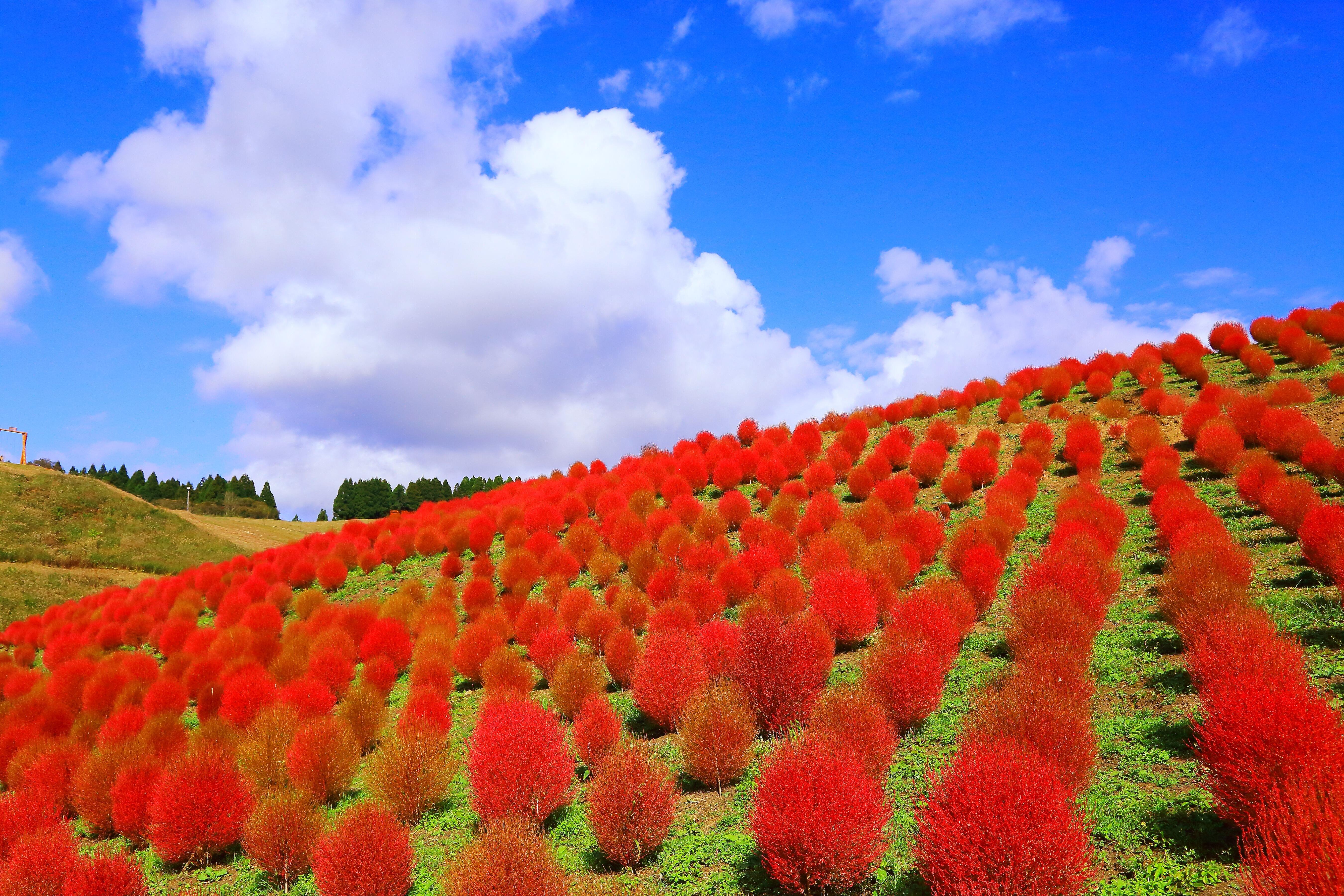 びわこ箱館山