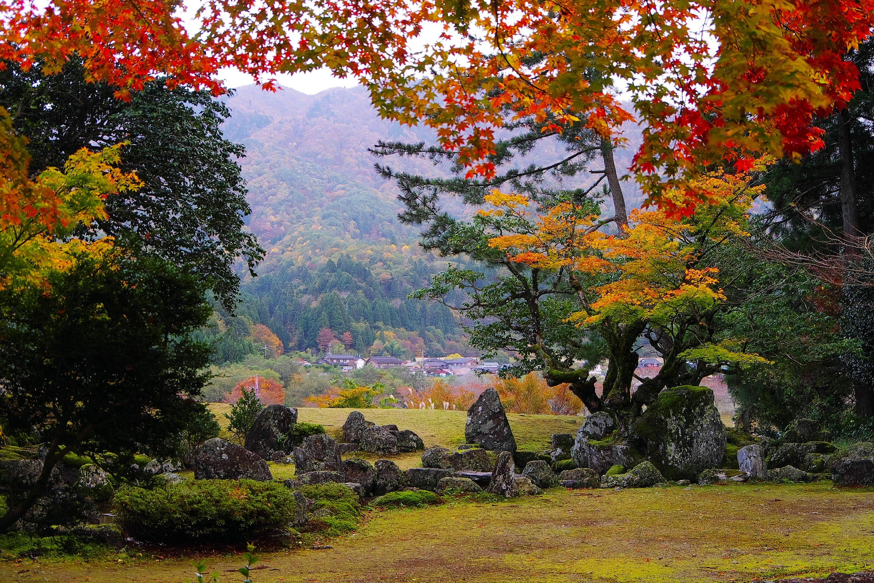 興聖寺