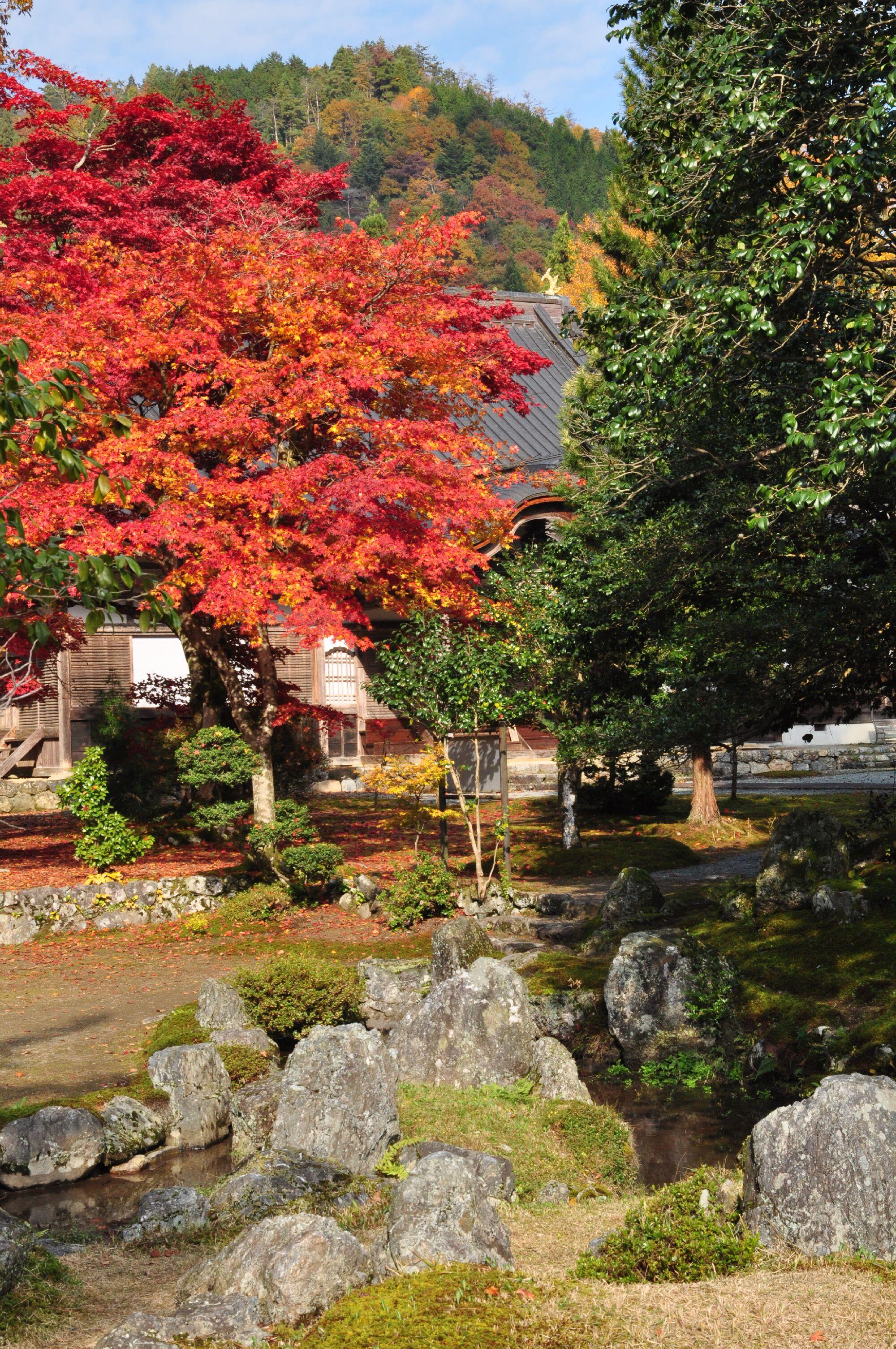 興聖寺