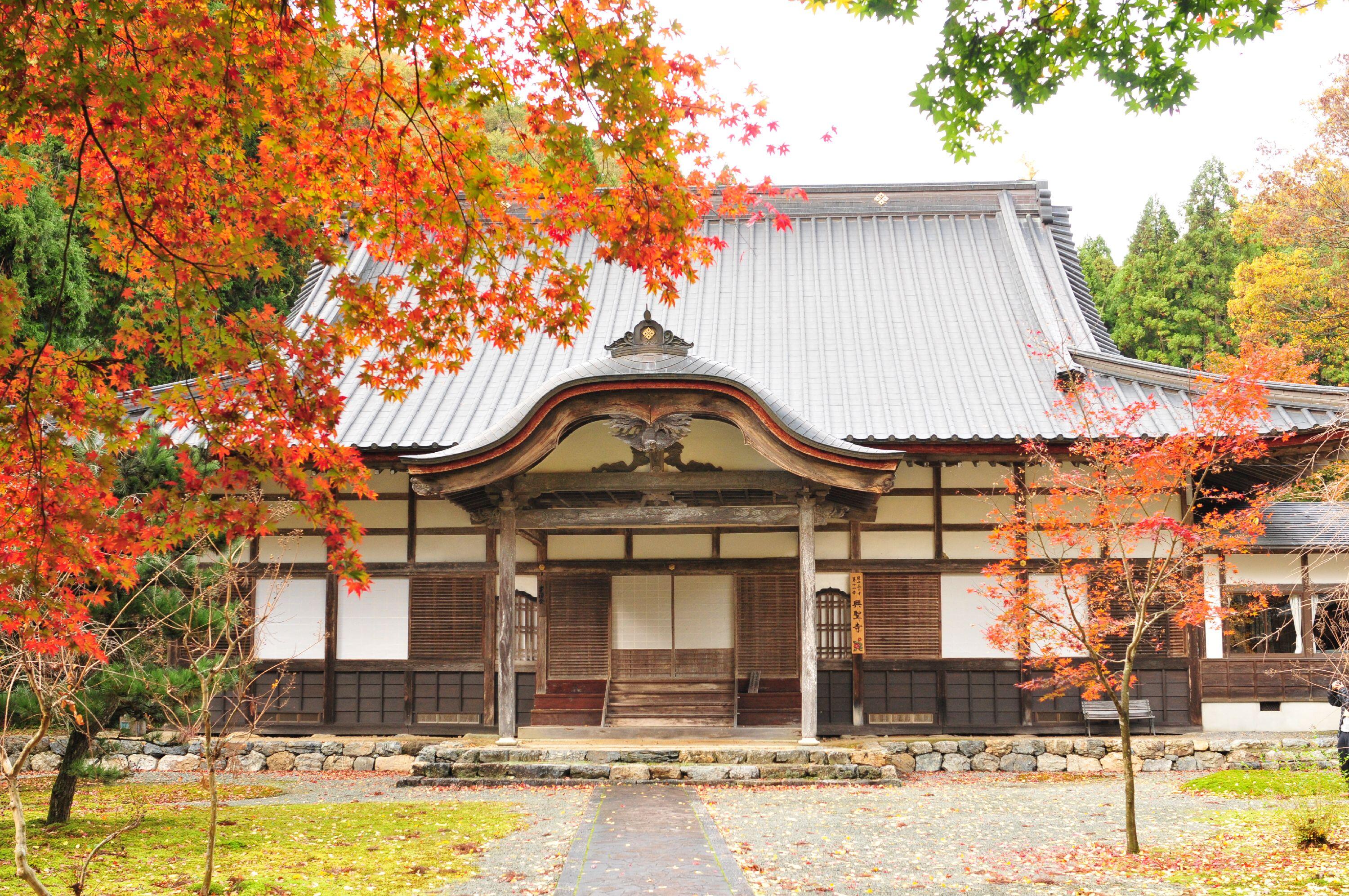 興聖寺