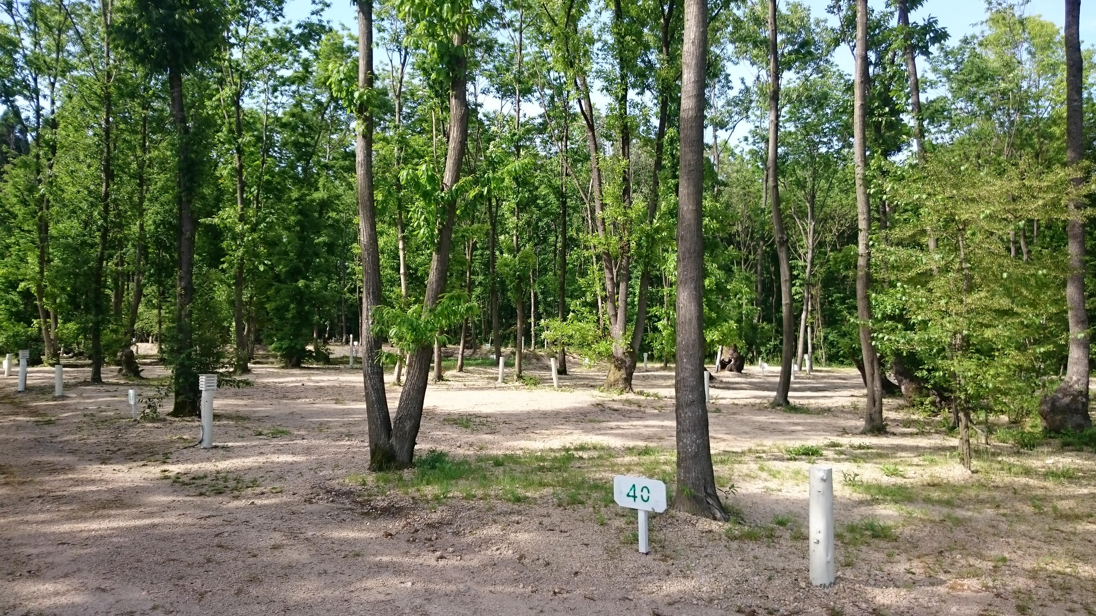 琵琶湖里山オートキャンプ場