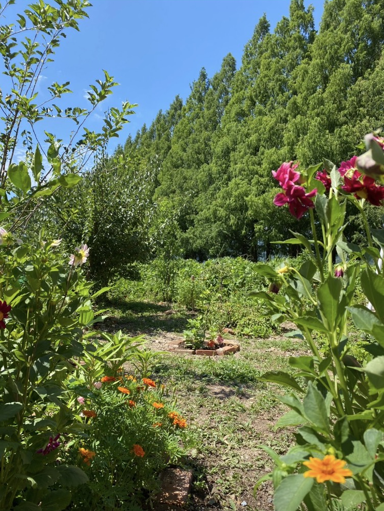 きもの遊月 （ゆうづき）