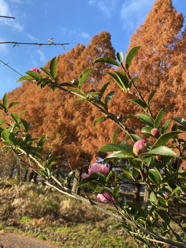 きもの遊月 （ゆうづき）