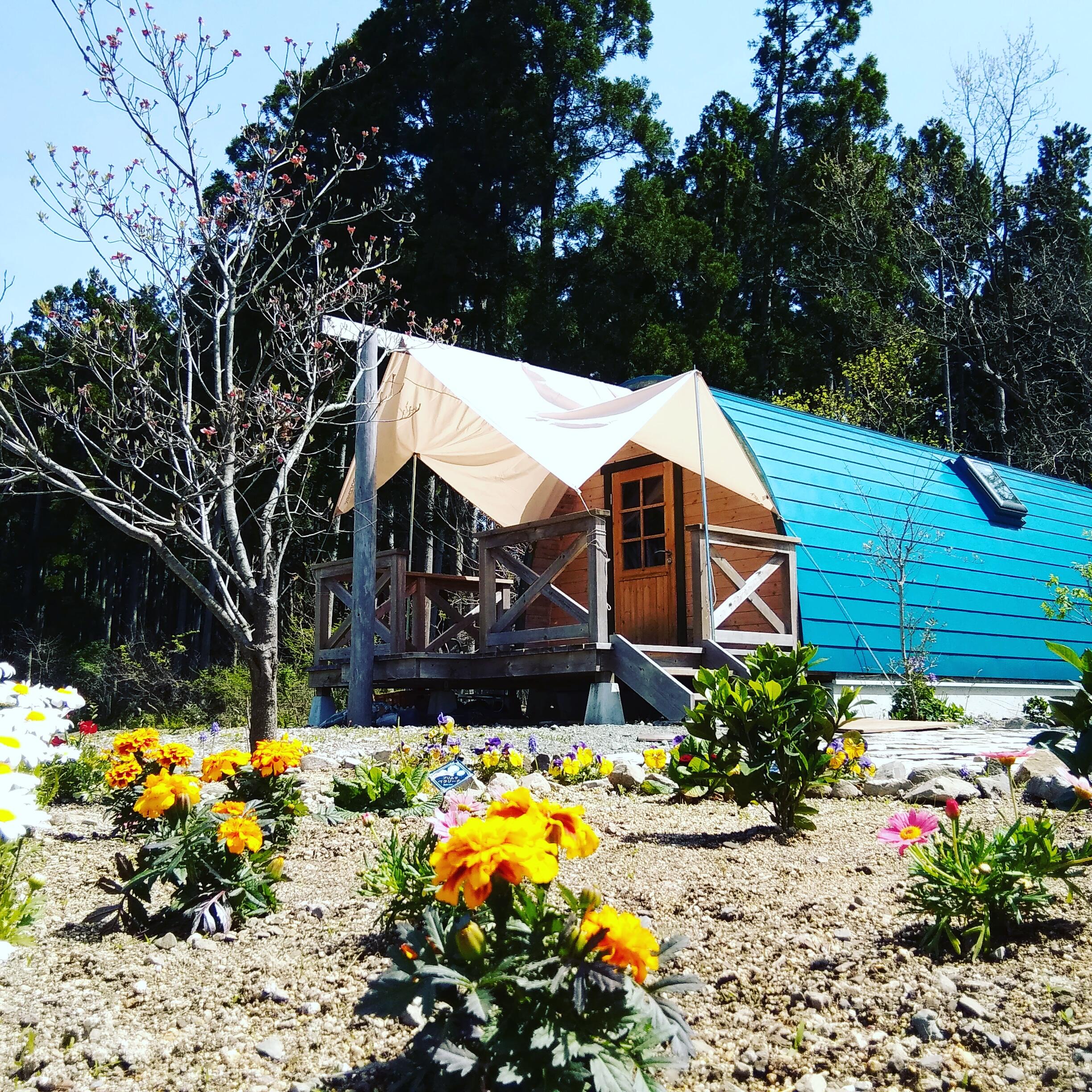 スターフォレストマキノ in やまおやじ村