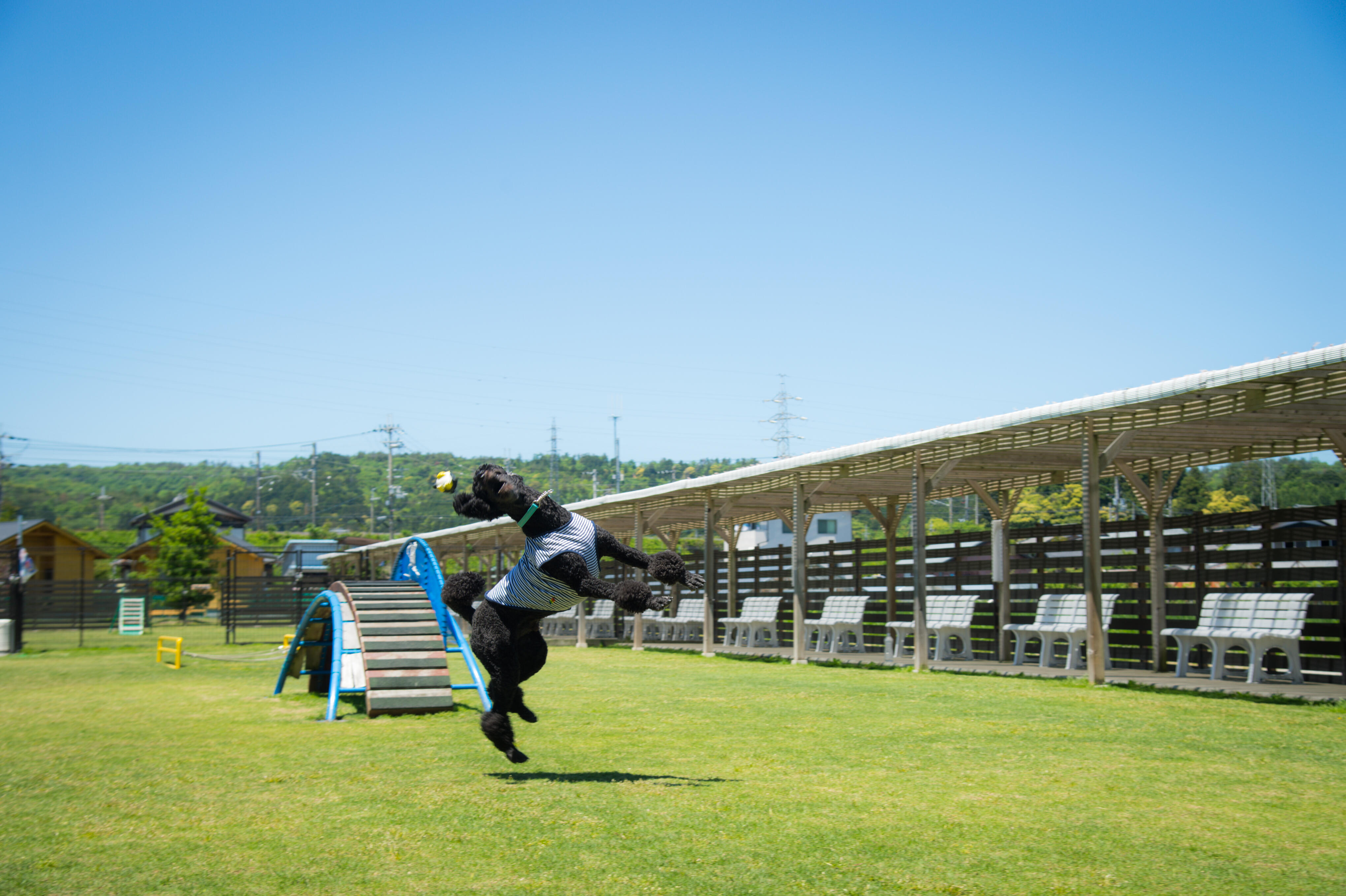 かばたリゾート（ドッグラン）