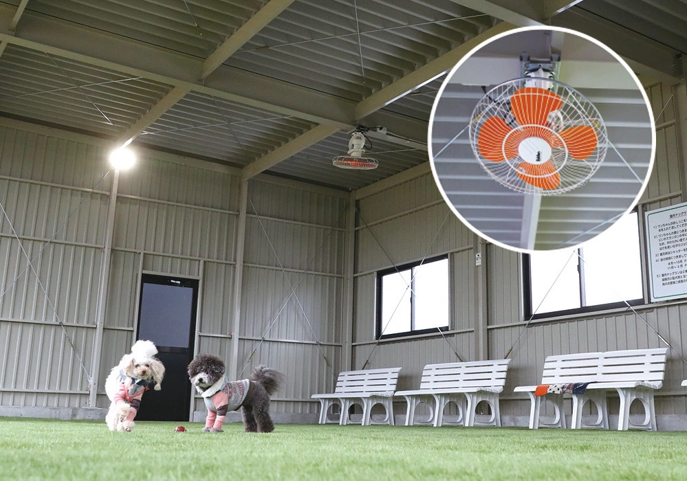 かばたリゾート（ドッグラン）