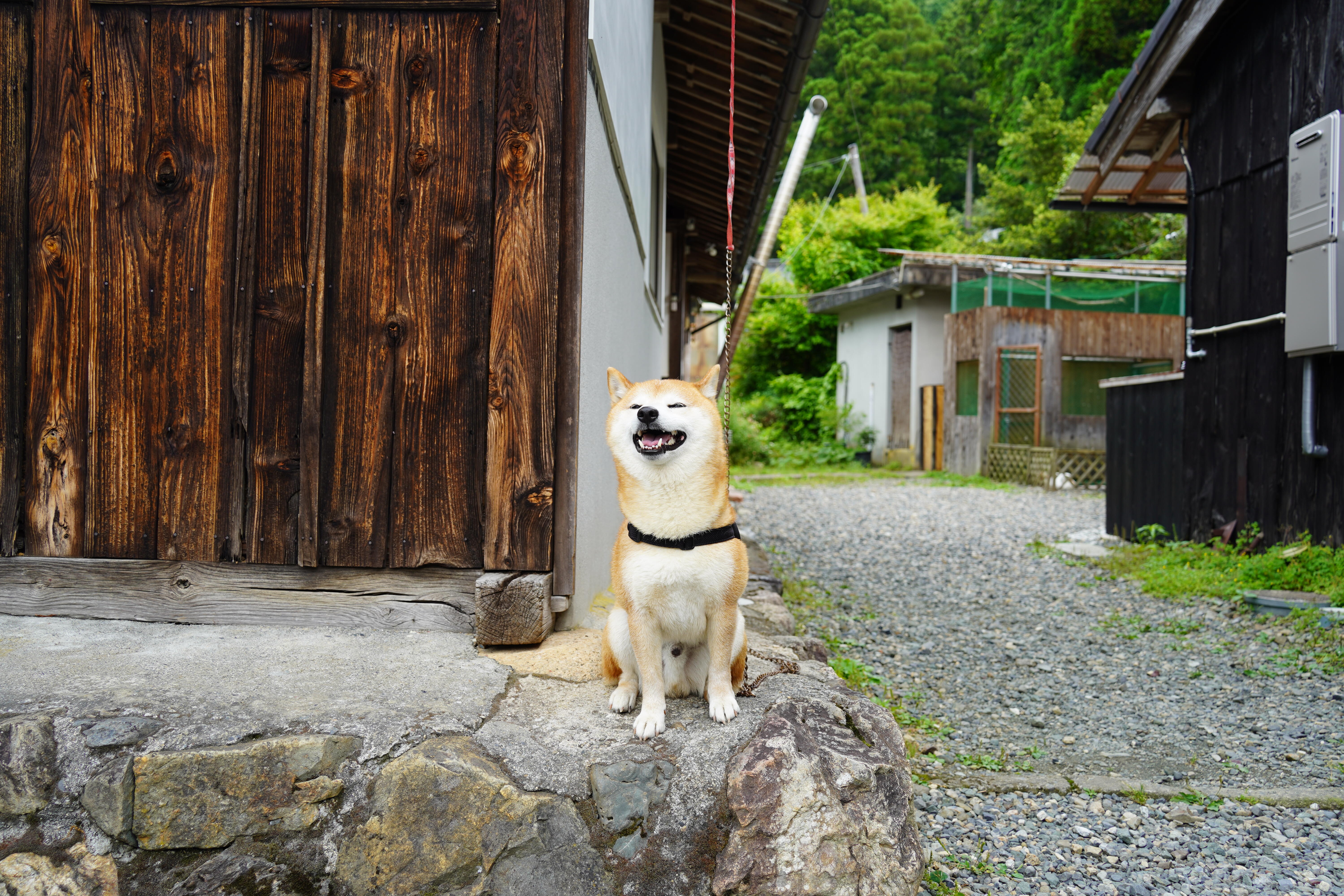 たらいち邸