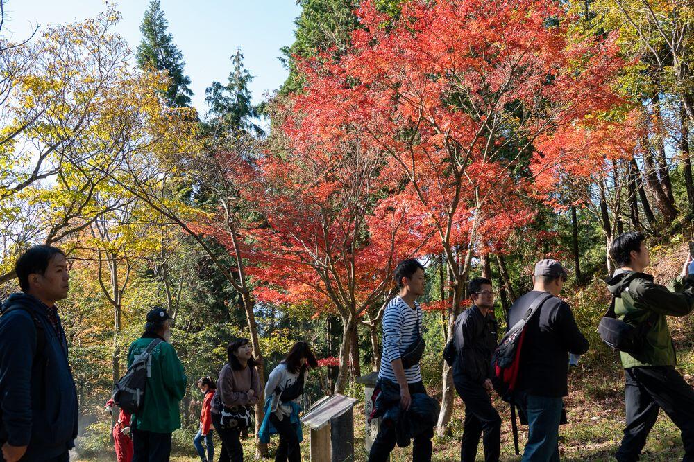 紅葉の清水山城跡ハイキング