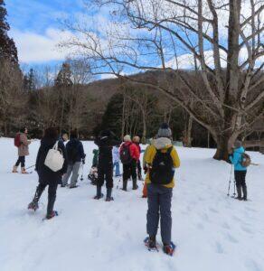 森でセルフケア　