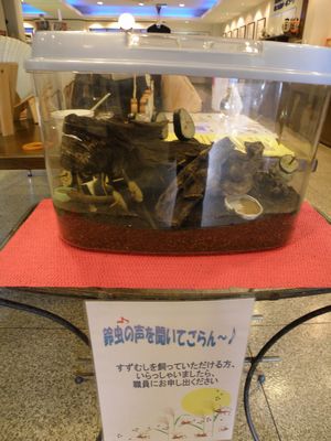 suzumushi3.JPG