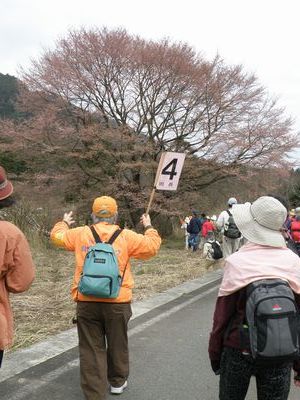 edohiganwalk2.JPG