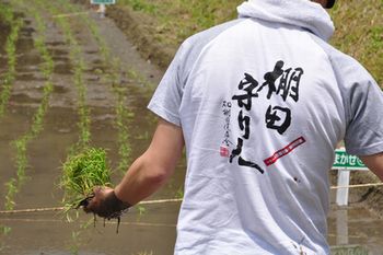 taue08.jpg