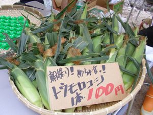 0809-4.JPG