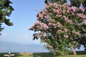 0825-2.jpg