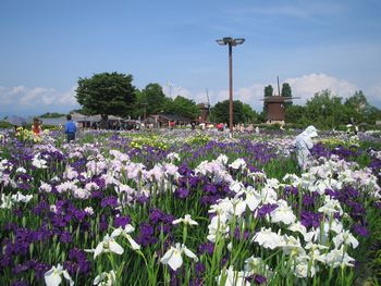 20110625.jpg