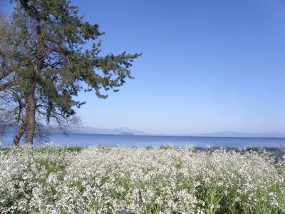 130428-2.JPG