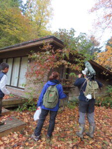 森のいやし　　冬の森