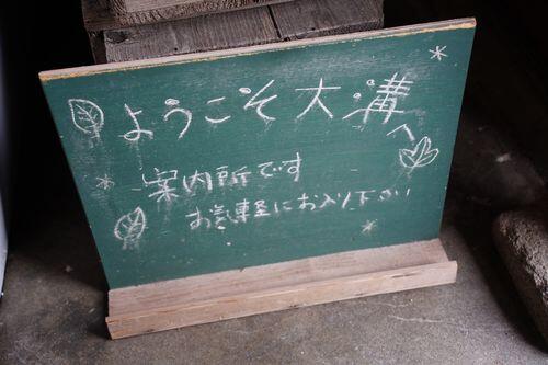 DSC05778.JPG