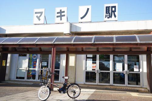 DSC09081.JPG