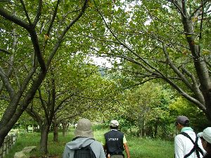 DSCF0087.jpg