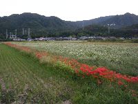 DSCF0193.jpg