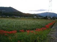 DSCF0194.jpg