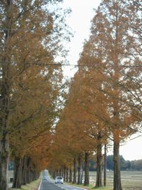 DSCF3046.jpg