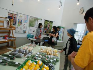 DSCF9596.jpg