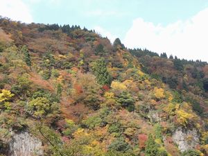 DSCN0056.jpg