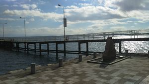 DSC_0117.jpg