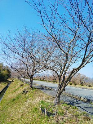 DSC_0669.jpg