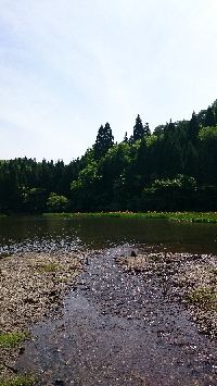 DSC_0939.jpg
