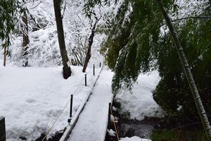 DSC_6634-3.jpg