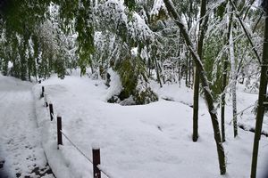DSC_6640-3.jpg