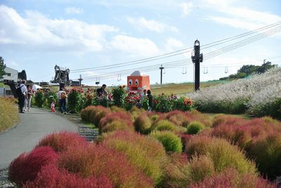 DSC_9579.jpg