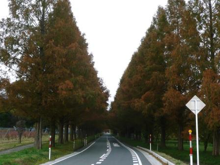 P1010091.JPG