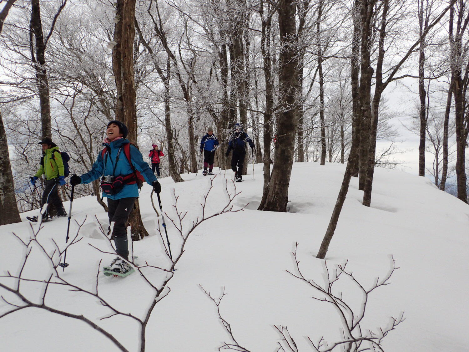 冬のブナ林三選をスノーシューで楽しむ　第1回 　樹氷の百里ヶ岳