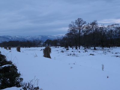 PC280010.JPG