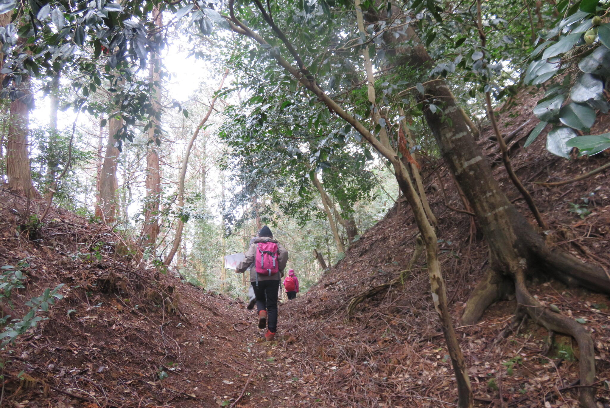 田中城跡ハイキング