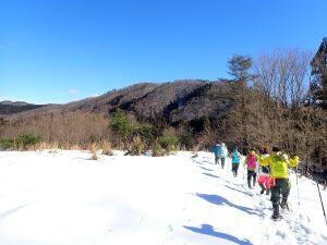 森さんぽ　＠くつきの森